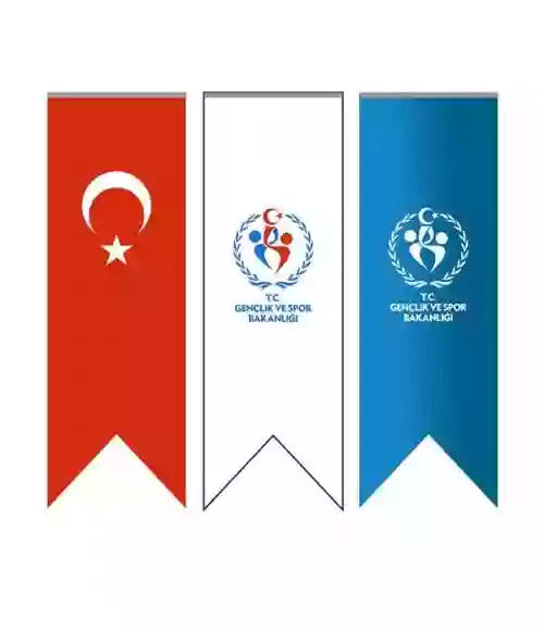Kirlangic-Bayrak3